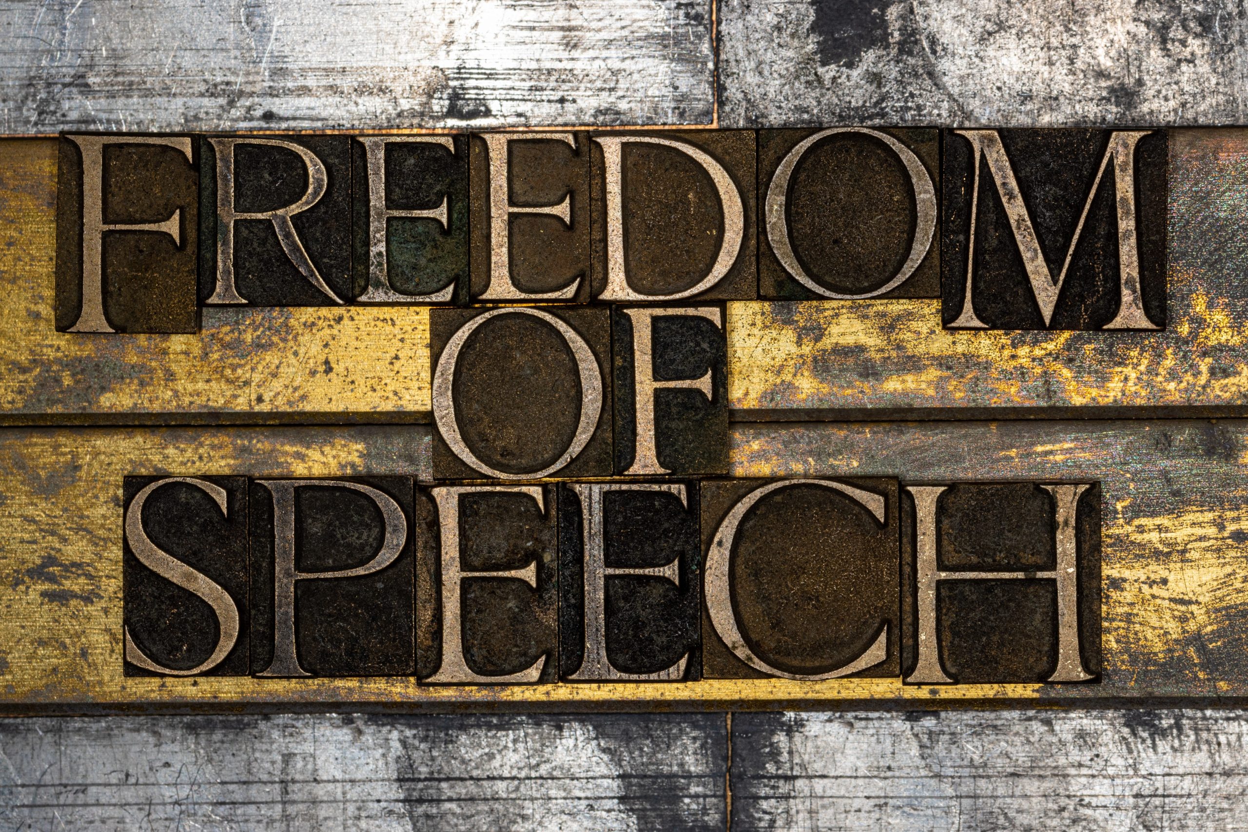 Defending Free Speech in the COVID19 Era Challenges and Successes